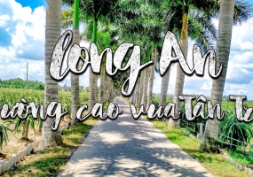 Lạc bước trên “con đường hạnh phúc” đẹp mê mẩn ở Long An