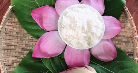 THƯƠNG HIỆU GẠO NGỌC THẮM